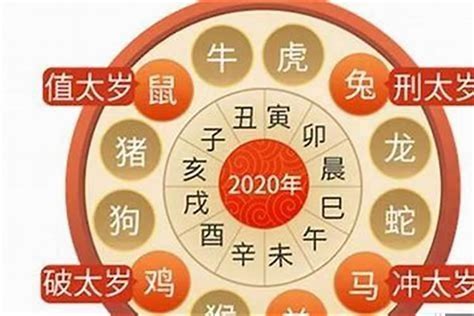 属虎人2023年运势|属虎的人2023年整体运势及运程详解